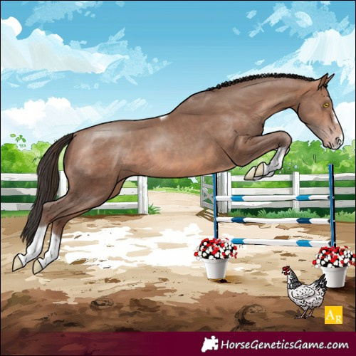 Horse Color:Sable Champagne Tobiano Frame 