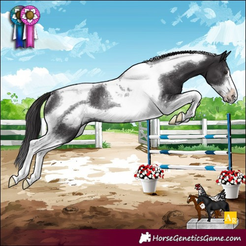 Horse Color:Smoky Black Tobiano Frame Rabicano