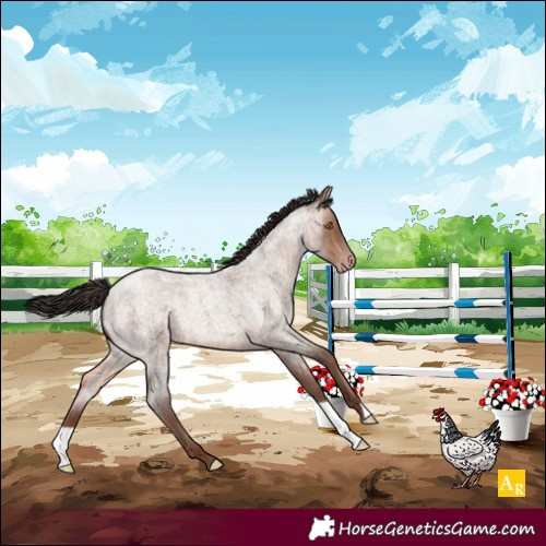 Horse Color:Sable Champagne Roan 