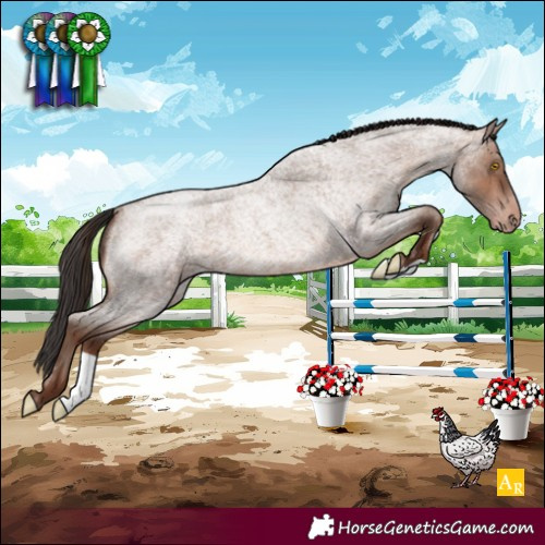 Horse Color:Sable Champagne Roan 
