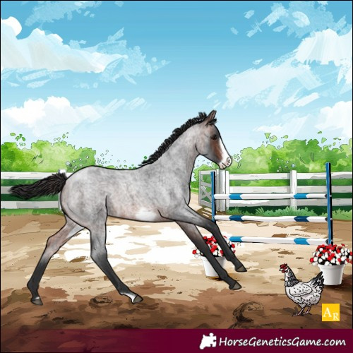 Horse Color:Brown Roan Frame 