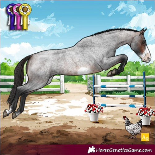 Horse Color:Brown Roan Frame 