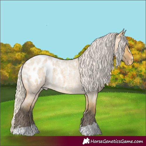 Horse Color:Silver Buckskin Roan Dun Blanket 