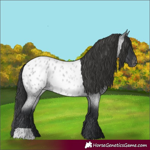 Horse Color:Blue Roan Blanket