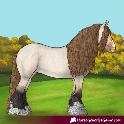 Horse Color:Buckskin Roan Dun Varnish
