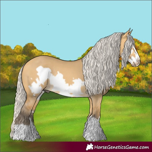 Horse Color:Silver Buckskin Dun Frame Rabicano 