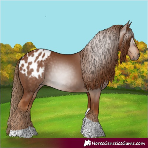 Horse Color:Gray Chestnut Tobiano Blanket