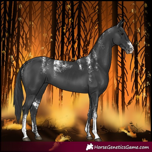 Horse Color:Powder White Black 