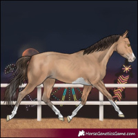 Horse Color:Amber Champagne Splash Tobiano 