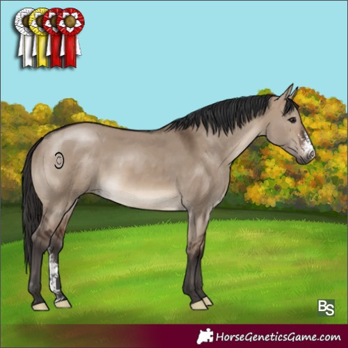 Horse Color:Brown Dun Sabino 