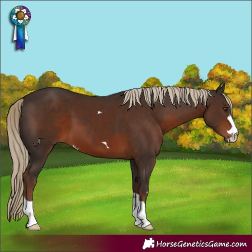 Horse Color:Liver Chestnut