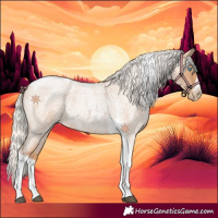 Horse Color:Silver Blue Roan Pearl Tobiano Frame