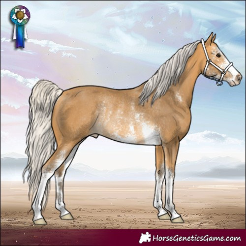 Horse Color:Silver Buckskin Sabino Rabicano 