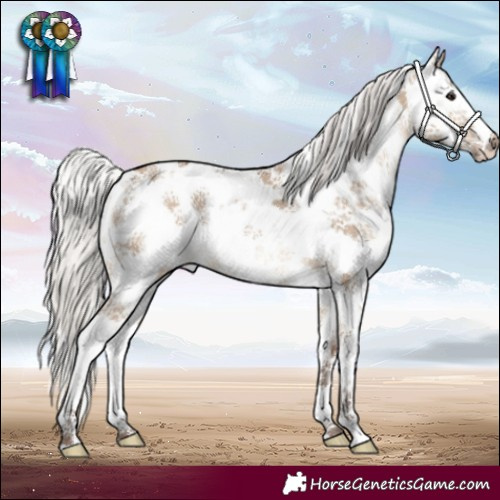 Horse Color:White Spotted Silver Bay Dun Sabino 