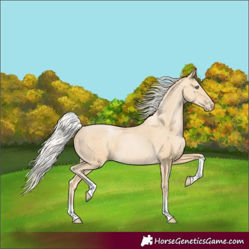 Horse Color:Silver Smoky Black Pearl Tobiano Rabicano 