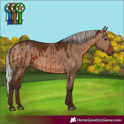 Horse Color:Silver Brown Dun Brindle 
