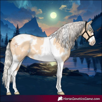 Horse Color:White Spotted Silver Classic Champagne Dun Tobiano Frame