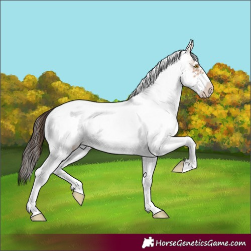 Horse Color:White Spotted Amber Champagne Frame 
