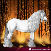 Horse Color:White Spotted Black Splash Tobiano Frame Blanket Rabicano
