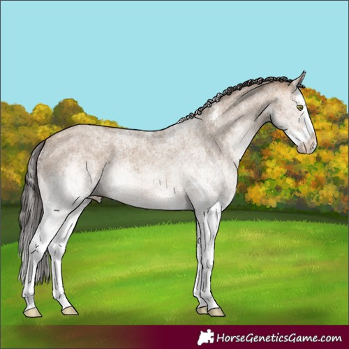 Horse Color:White Spotted Sable Champagne Dun Splash 