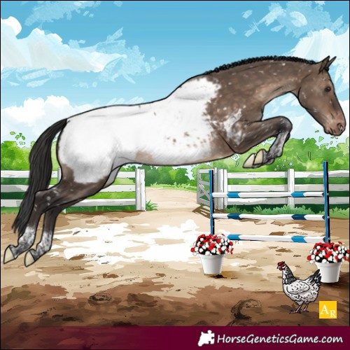 Horse Color:Brown Dun Tobiano Near Fewspot Brindle 
