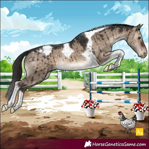 Horse Color:Brown Dun Tobiano Appaloosa Brindle 