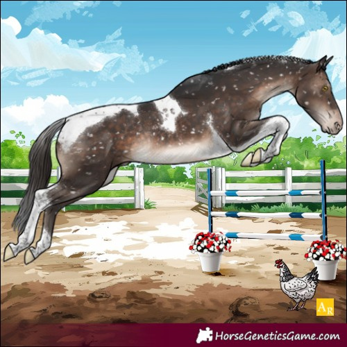 Horse Color:Brown Tobiano Snowflake VarnishRabicano 