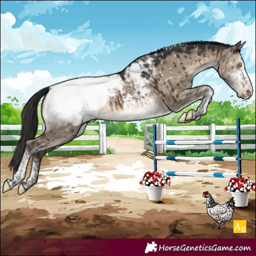 Horse Color:Brown Dun Sabino Tobiano Appaloosa Brindle 