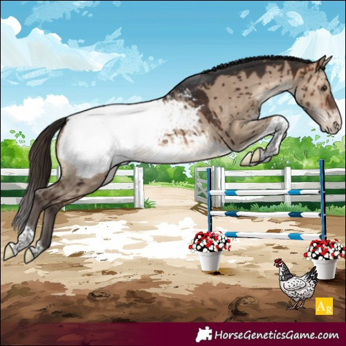 Horse Color:Brown Dun Sabino Tobiano Appaloosa Brindle