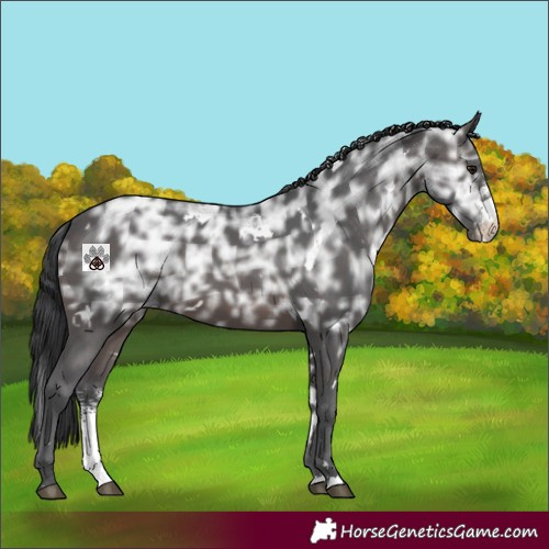 Horse Color:White Spotted Brown Ice Mushroom Sabino