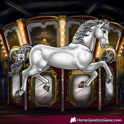 Horse Color:White Spotted Brown Mushroom Sabino Near Leopard Rabicano