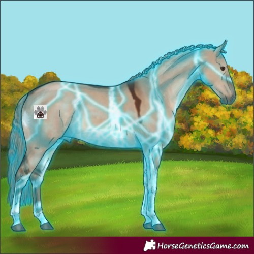 Horse Color:Thunderstruck Liver Red Dun Tobiano
