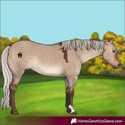 Horse Color:Silver Brown Dun