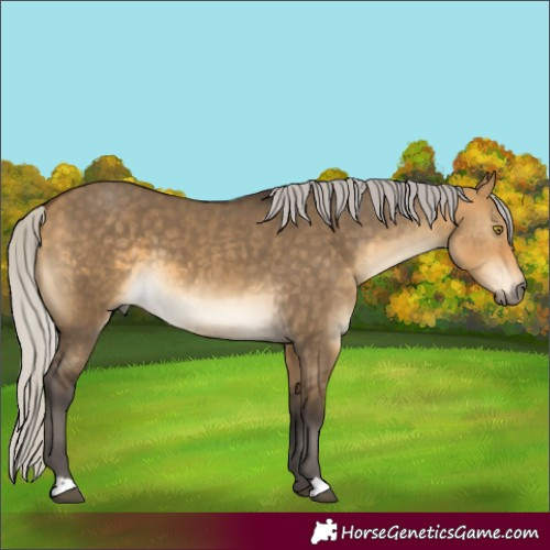 Horse Color:Silver Buckskin Dun 