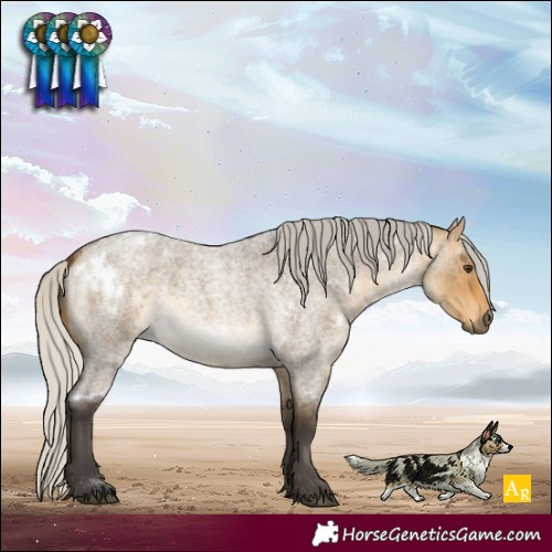 Horse Color:White Spotted Silver Buckskin Roan Dun