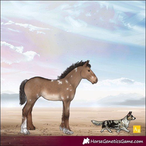 Horse Color:White Spotted Liver Red Dun Tobiano 