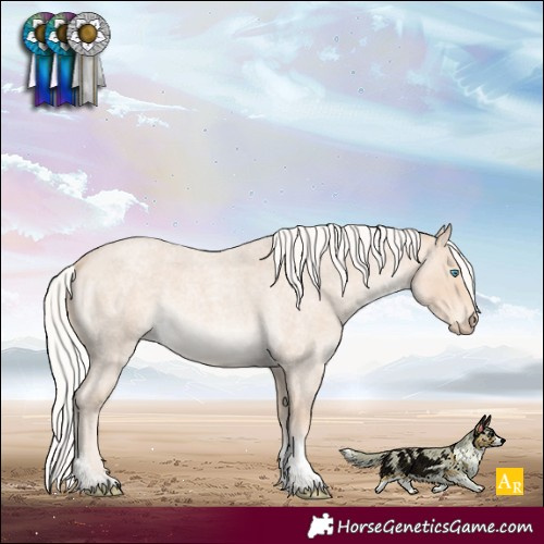 Horse Color:Silver Perlino Roan Tobiano