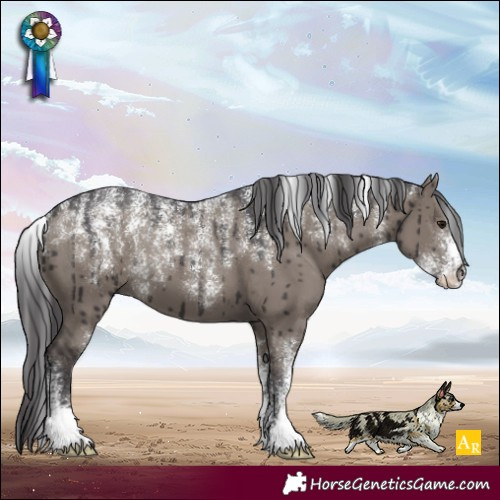 Horse Color:Powder White Smoky Grullo Brindle 