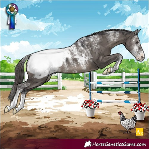 Horse Color:Powder White Smoky Grullo Appaloosa Brindle 
