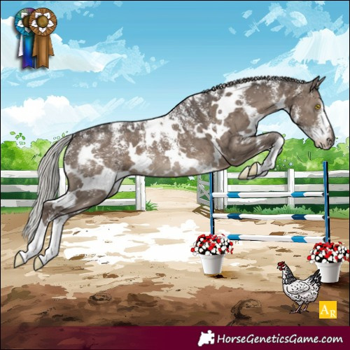 Horse Color:Powder White White Spotted Silver Grullo Brindle 