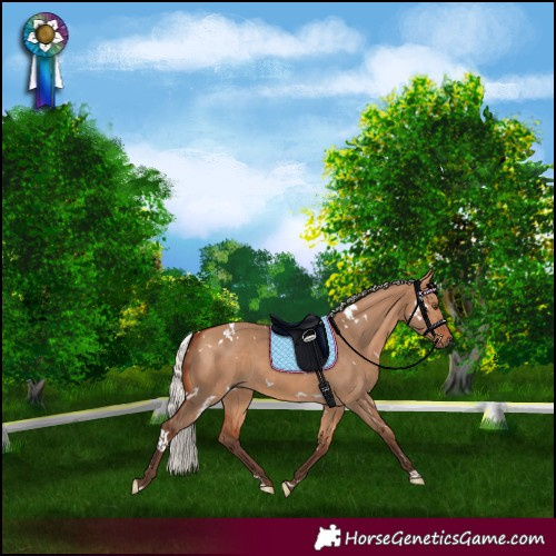 Horse Color:White Spotted Silver Bay Dun