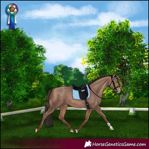 Horse Color:Sable Champagne