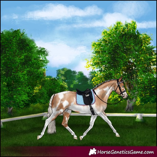 Horse Color:Gray White Spotted Silver Sable Champagne Pearl Tobiano Frame Rabicano 