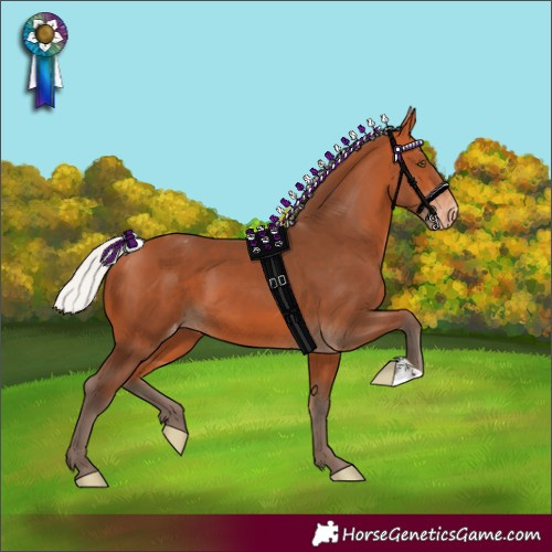Horse Color:Silver Bay Varnish