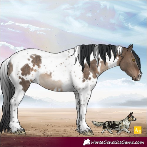 Horse Color:White Spotted Brown Dun Tobiano Rabicano 