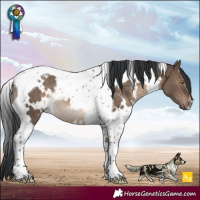 Horse Color:White Spotted Brown Dun Tobiano Rabicano 