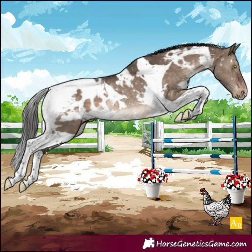 Horse Color:White Spotted Brown Dun Tobiano Appaloosa Rabicano 