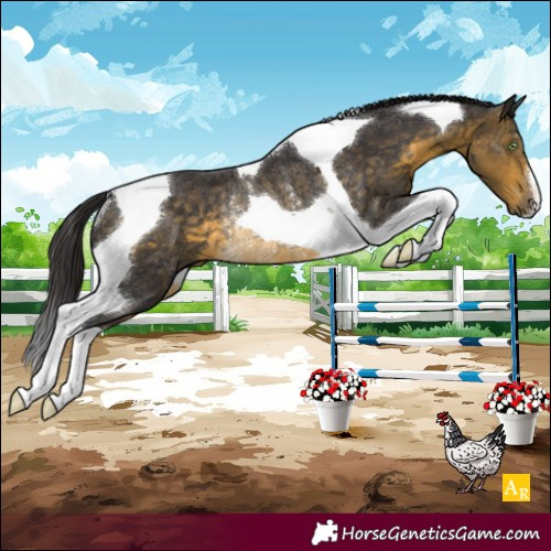 Horse Color:Buckskin Tobiano Rabicano