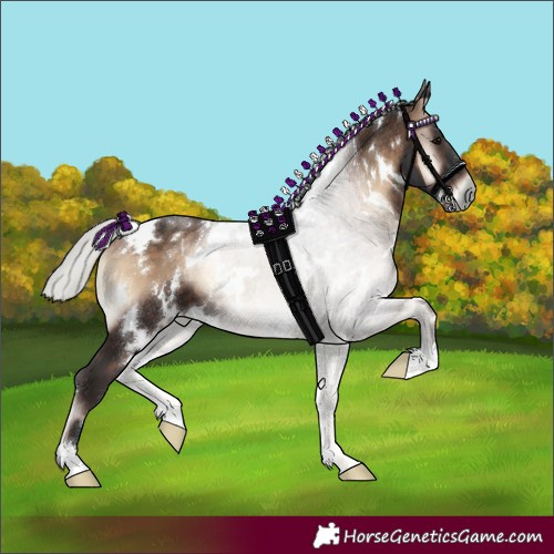 Horse Color:White Spotted Silver Brown Onyx