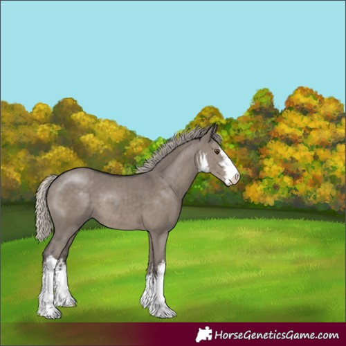 Horse Color:White Spotted Silver Smoky Grullo 